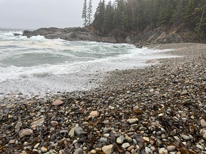 Acadia National Park